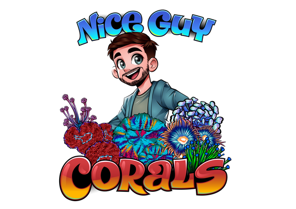 Nice Guy Corals