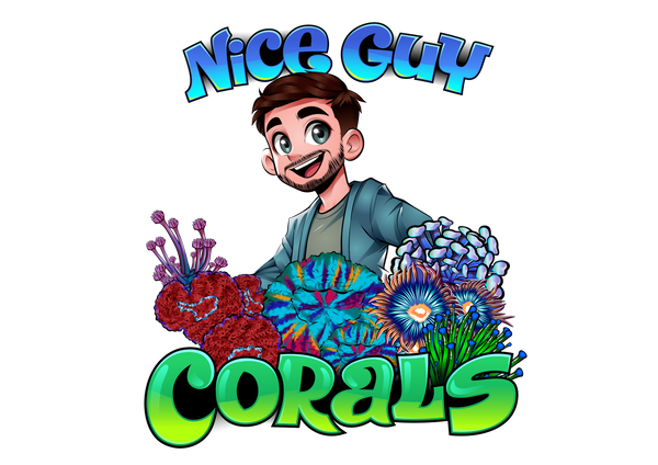 Nice Guy Corals